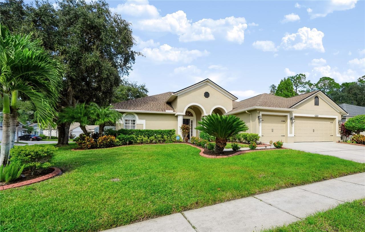 12541 Leatherleaf Dr., Tampa, FL 33626