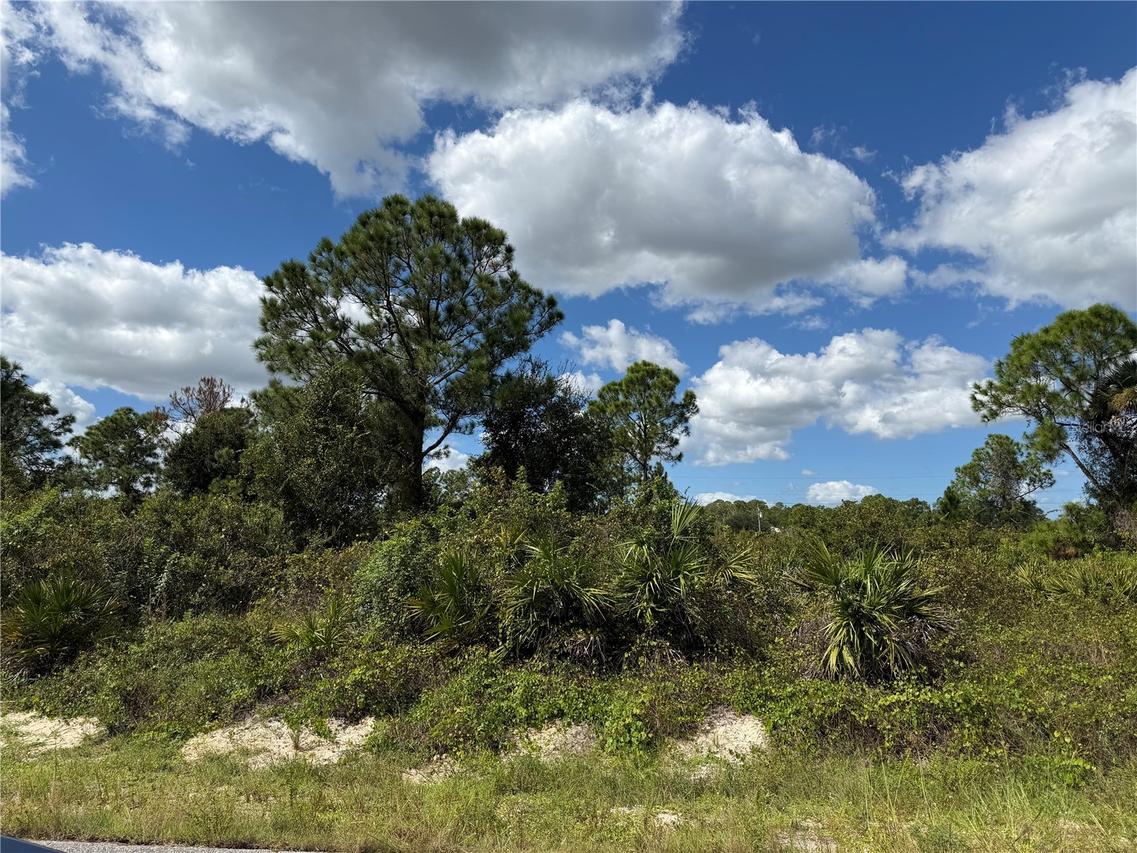 1203 Plumosa Ave. #3, Lehigh Acres, FL 33972