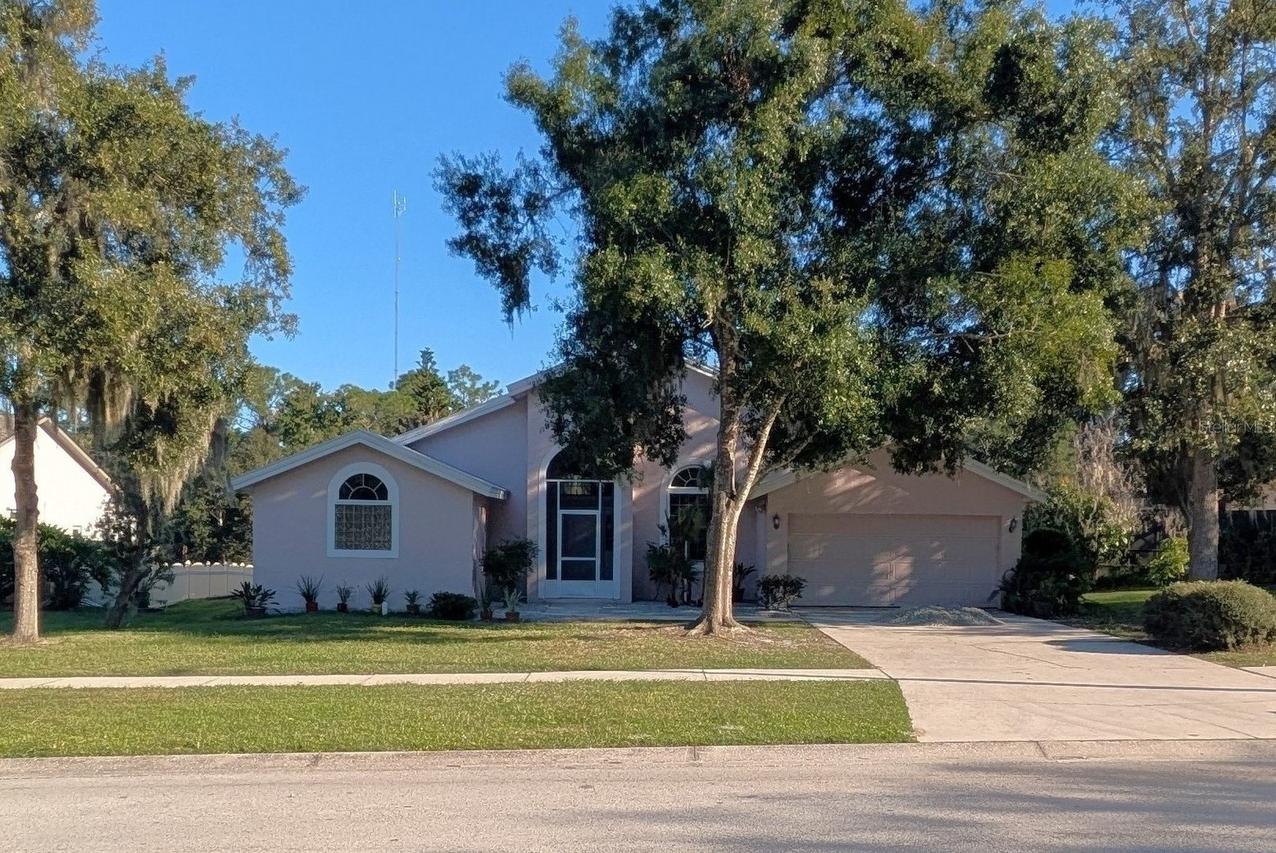 10120 Sedgebrook Dr., Riverview, FL 33569
