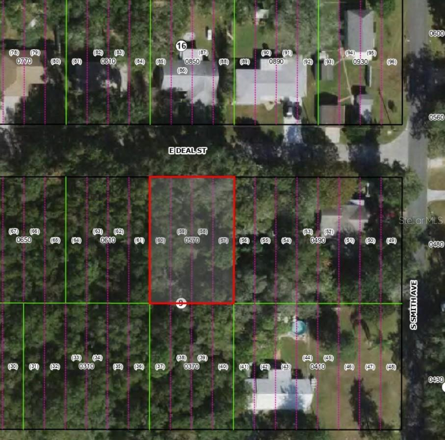3330 E Deal St., Inverness, FL 34453