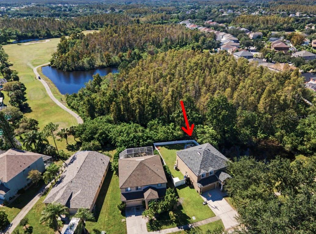 19266 Fishermans Bend Dr., Lutz, FL 33558