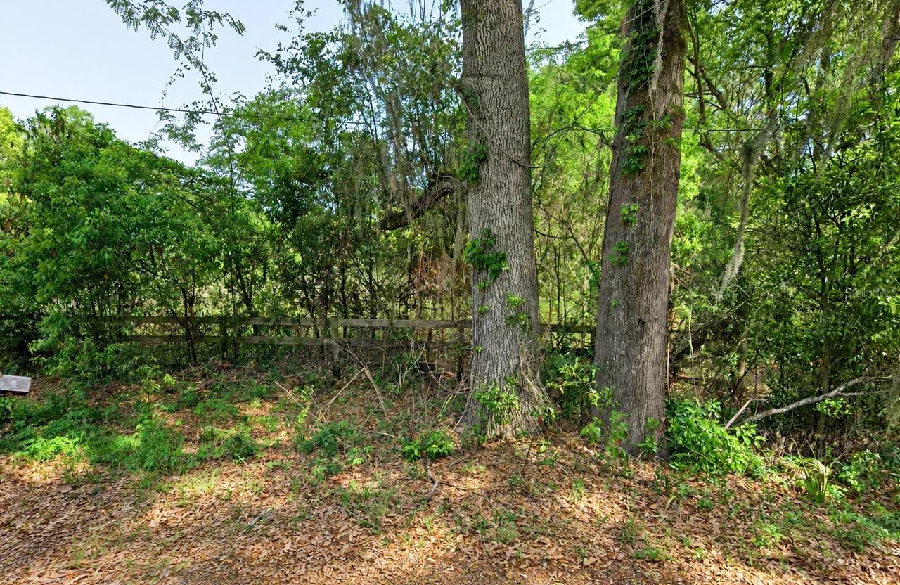 NE 175th St., Citra, FL 32113