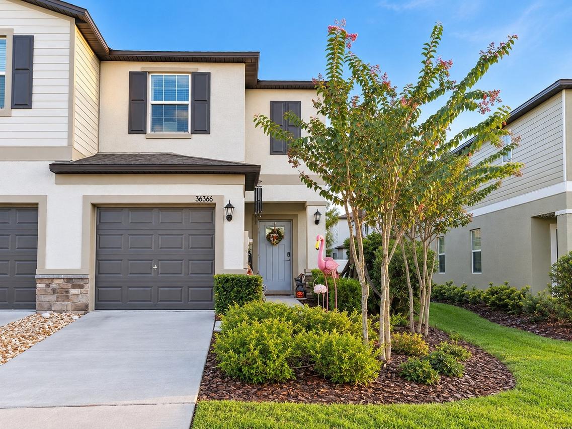 36366 Well Hill Way, Zephyrhills, FL 33541