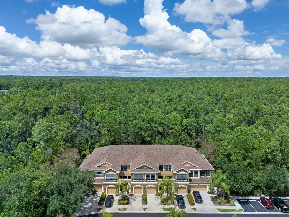 12612 Silverdale St., Tampa, FL 33626
