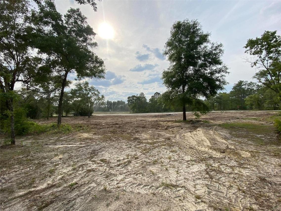 Lot 1 Cagarro Rd., Weeki Wachee, FL 34614