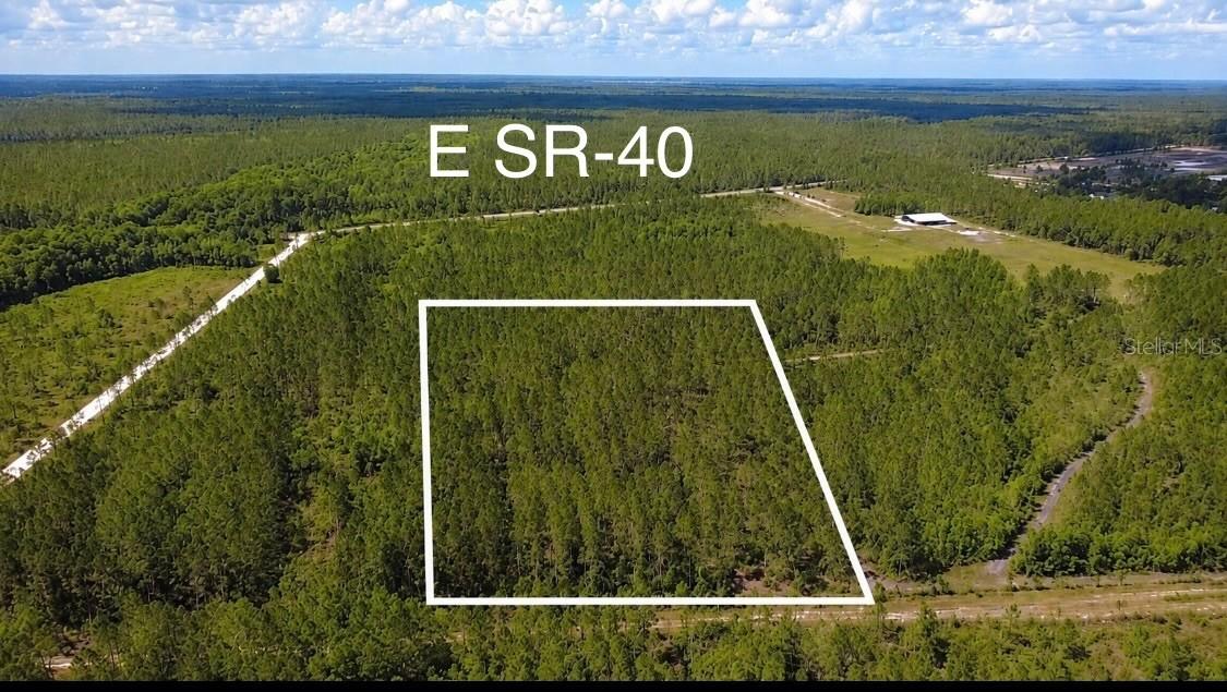 Wild Cur Rd., Pierson, FL 32180