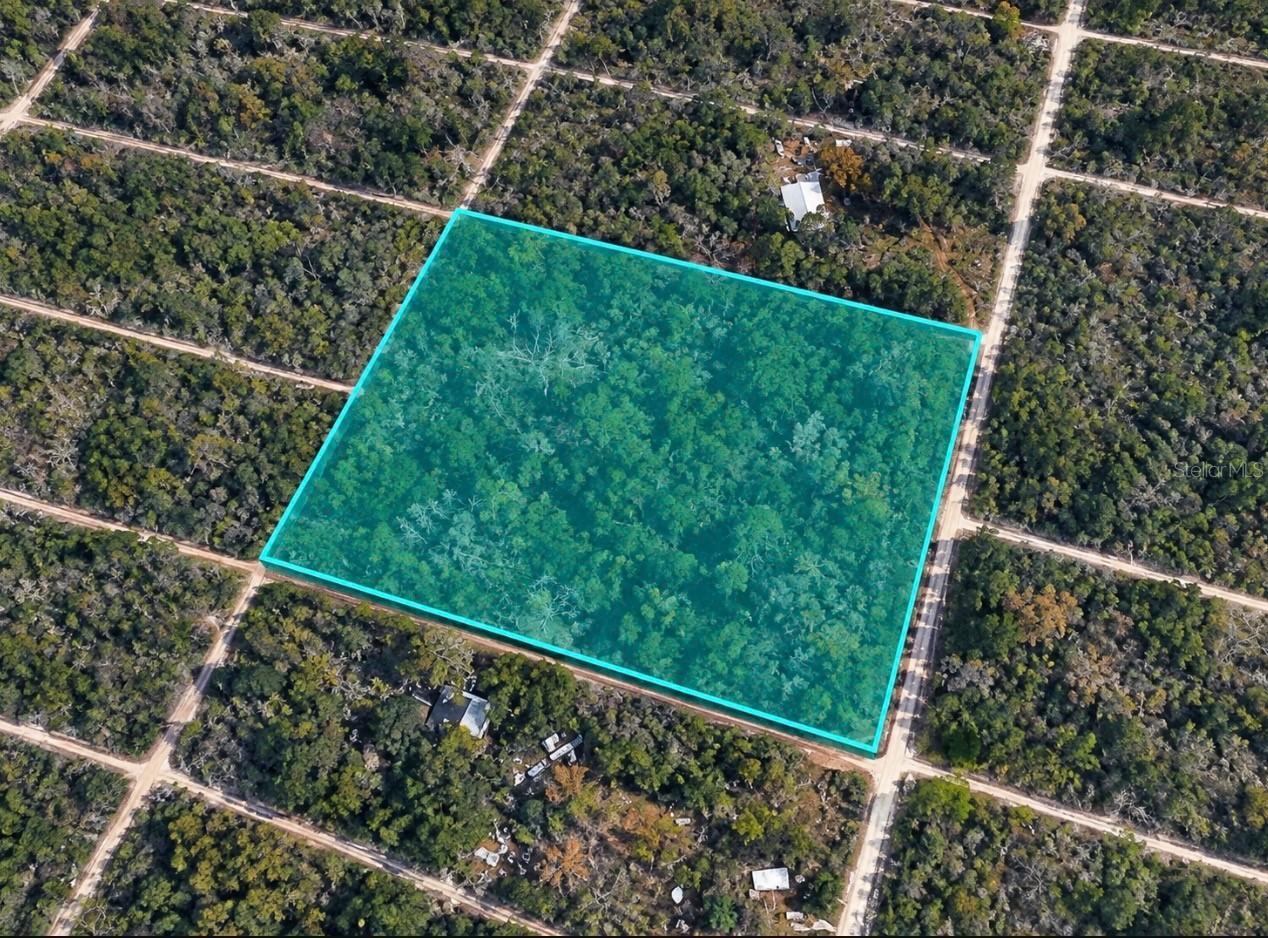 330 S Dew Plant Point, Crystal River, FL 34429