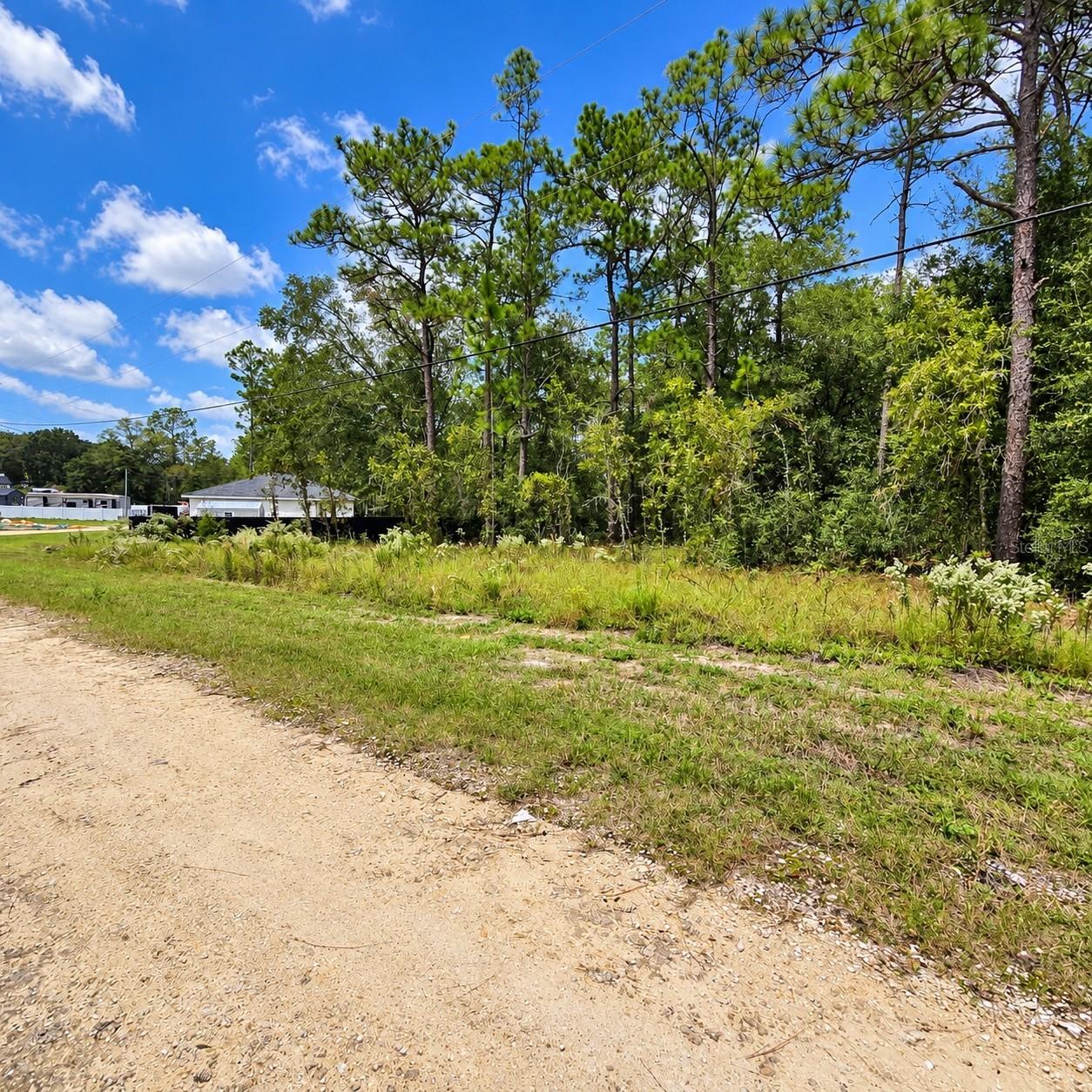 LOT 20 SW 142nd Ct., Ocala, FL 34481