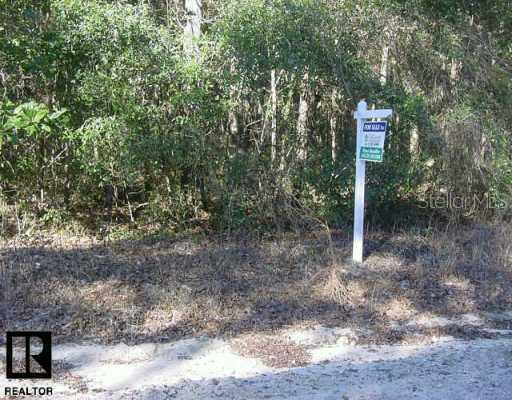 Usher Cross Country Rd., Old Town, FL 32680