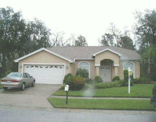 8411 Basuto Dr., Trinity, FL 34655