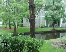 6825 Stonesthrow Cir. #1205, St Petersburg, FL 33710