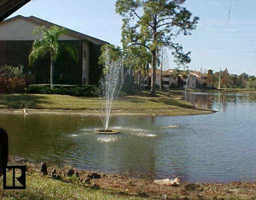 1400 Gandy Blvd. ##312, St Petersburg, FL 33702