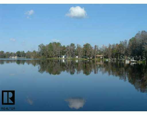14631 Middlefield Ln., Odessa, FL 33556