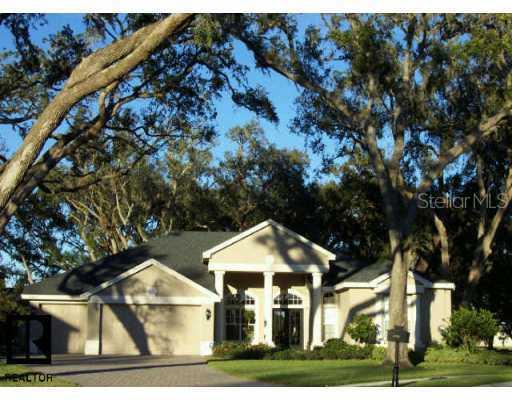 16705 Eagle Oak Dr., Odessa, FL 33556