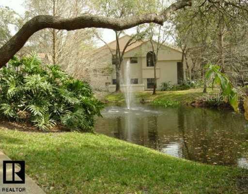 302 Los Prados Dr., Safety Harbor, FL 34695