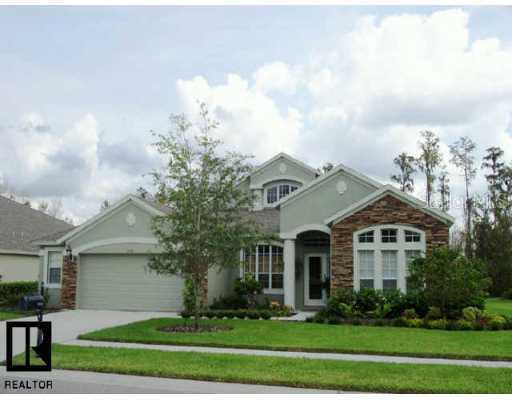 1534 Tawnyberry Ct., Trinity, FL 34655