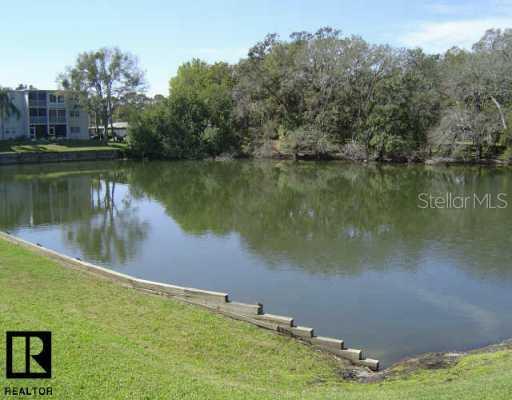 948 Virginia St. #307, Dunedin, FL 33698