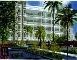 3805 Gulf Blvd. #503, St Pete Beach, FL 33706