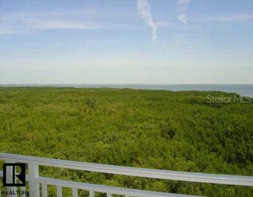 12077 Gandy Blvd. #351, St. Petersburg, FL 33716