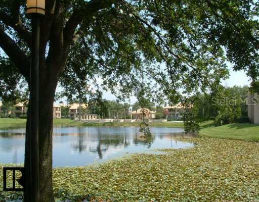 10263 Gandy Blvd. #1312, St Petersburg, FL 33702