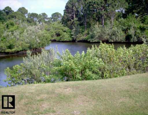 1681 Seascape Cir., Tarpon Springs, FL 34689