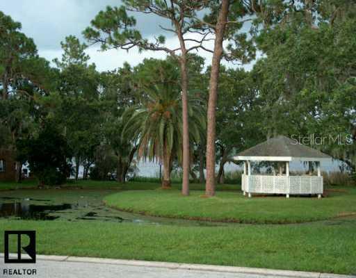 2815 Fox Squirrel Dr., Palm Harbor, FL 34684