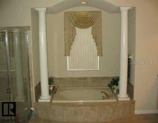 2222 Edelweiss Loop, Trinity, FL 34655