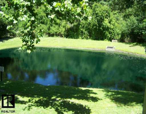 3232 Lake Pine Way #216F3, Tarpon Springs, FL 34688