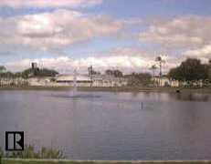 1950 59th Ave. #103, St Petersburg, FL 33714