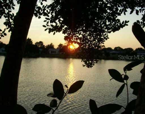 10311 Willow Dr., Port Richey, FL 34668