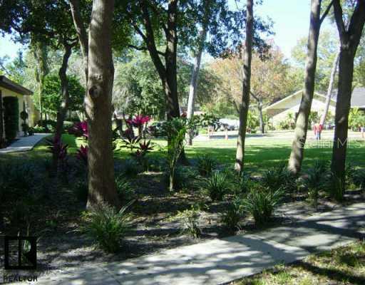 3031 Harvest Moon Dr., Palm Harbor, FL 34683