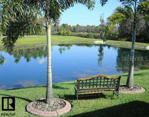 1536 Arlington Oaks Ct., Trinity, FL 34655