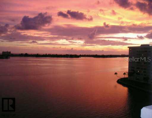 4550 Cove Cir. ##704, St Petersburg, FL 33708