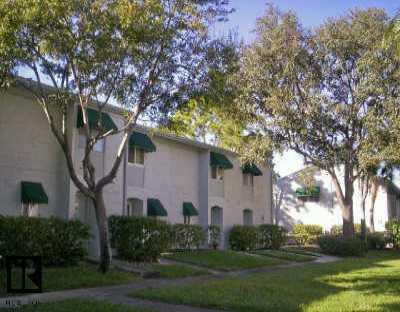 169 114th Ave., St Petersburg, FL 33716