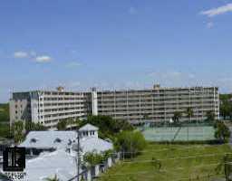 19451 Gulf Blvd. #301, Indian Shores, FL 33785