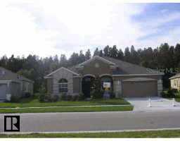 19146 Sunset Bay Dr., Land O Lakes, FL 34639