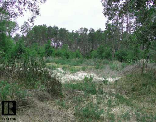 3000 Leprechaun Ln., Palm Harbor, FL 34683