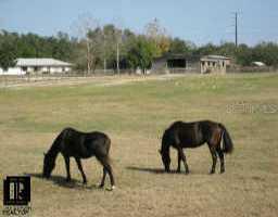 14206 Pigeon Rd., Hudson, FL 34669