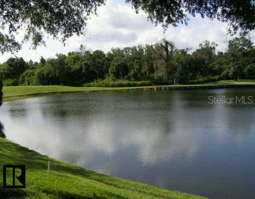 1312 Pheasant Creek Dr., Palm Harbor, FL 34684