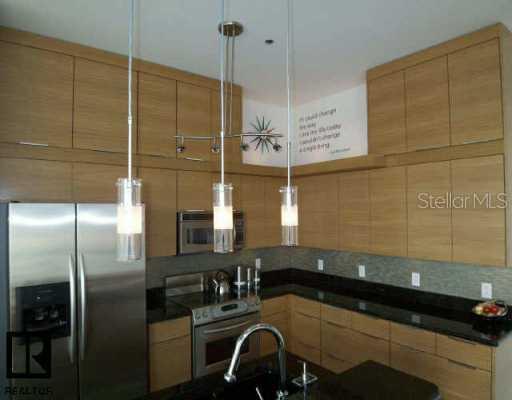 175 2nd St. #1014, St Petersburg, FL 33701