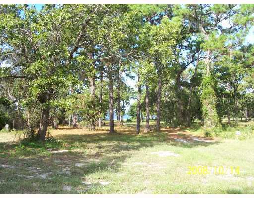 S South Florida, Tarpon Springs, FL 34689