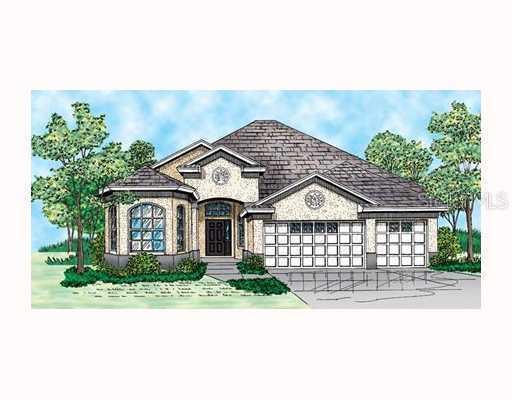 19329 Sunset Bay Dr., Land O Lakes, FL 34638