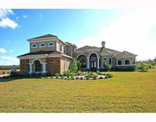 17249 Breeders Cup Dr., Odessa, FL 33556