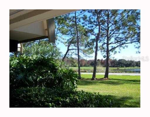 [Address Hidden by Seller], Palm Harbor, FL 34684