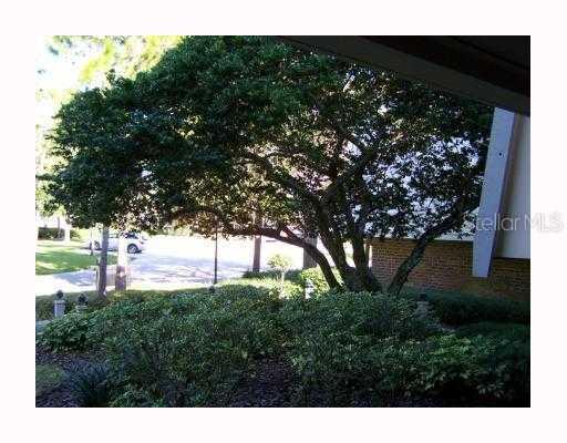 [Address Hidden by Seller], Palm Harbor, FL 34684