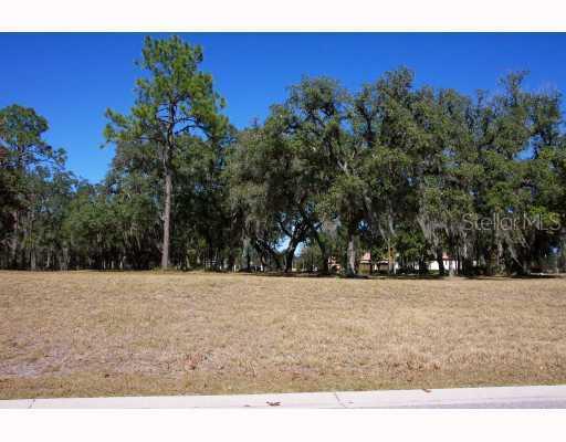 1018 Bellamare Tr., Trinity, FL 34655