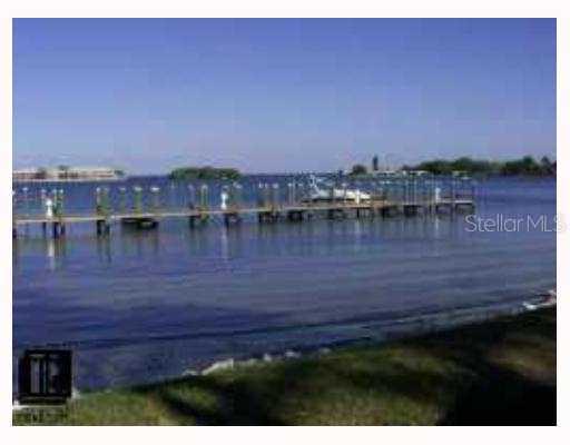 28 Mangrove Point, St Petersburg, FL 33705
