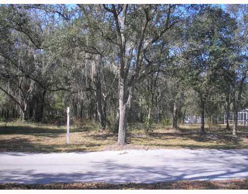 18920 Adams Country Way, Lutz, FL 33559