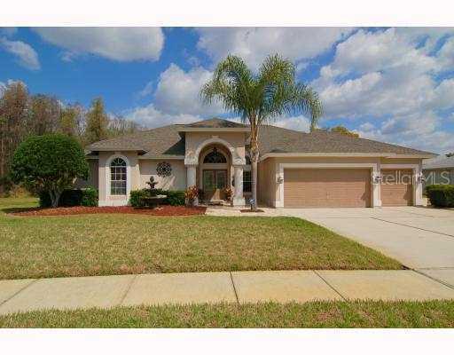 8149 Brumby Ct., Trinity, FL 34655