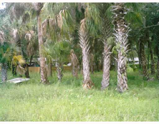 Phoenix Ave., Oldsmar, FL 34677